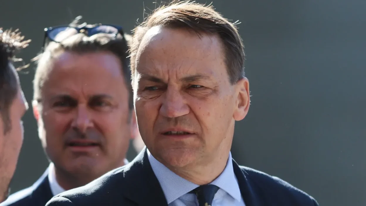 Polonya savcılığı, dışişleri bakanı sikorski’ye yönelik hakaret şikayetini i̇şleme almadı 1 Polonya savciligi disisleri bakani sikorski ye yonelik hakaret sikayetini i sleme almadi 77565
