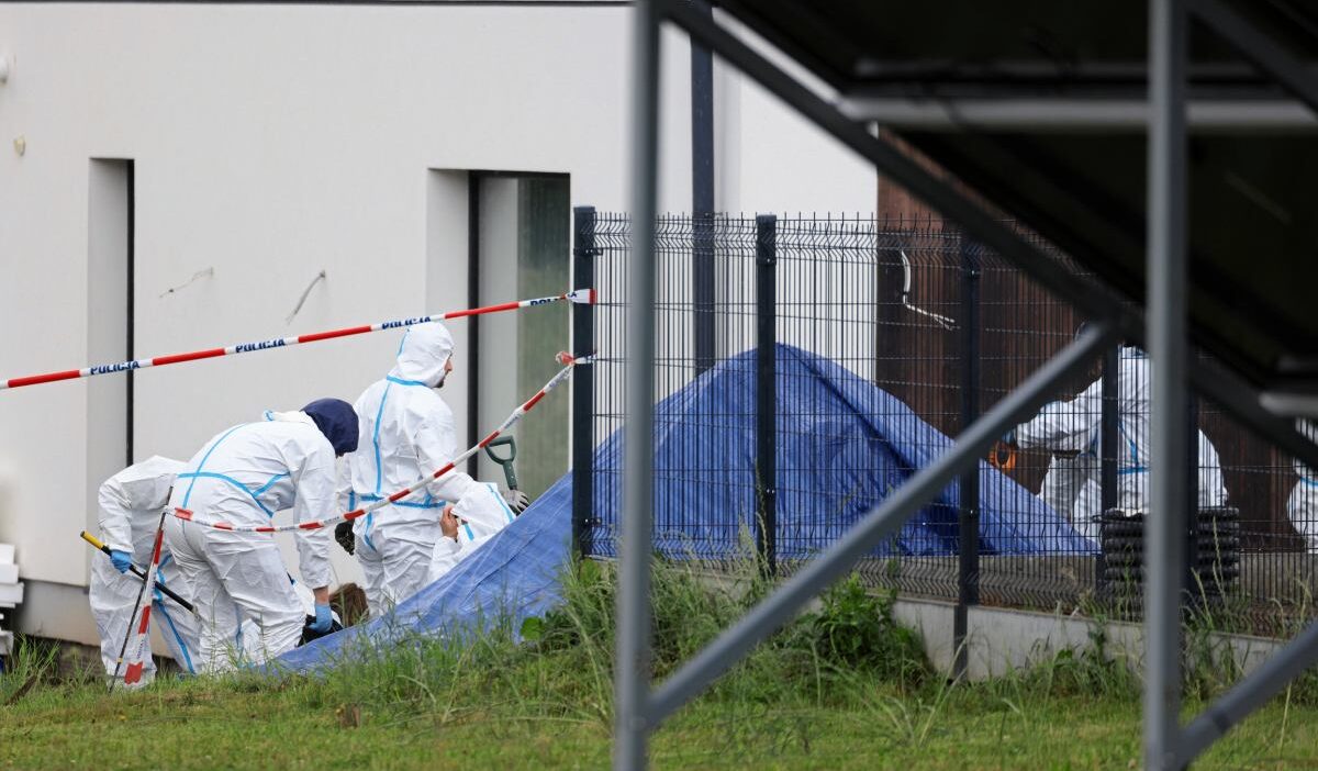 Rzeszów yakınlarında bir arazide 32 cenin bulundu: soruşturma genişletiliyor 1 Rzesz w yakinlarinda bir arazide 32 cenin bulundu sorusturma genisletiliyor 76615