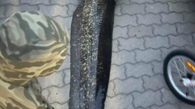 Varşova’da gocław gölü’nden yayın balığı avlayan kişi gözaltına alındı 2 Varsova da goc aw golu nden yayin baligi avlayan kisi gozaltina alindi 74362