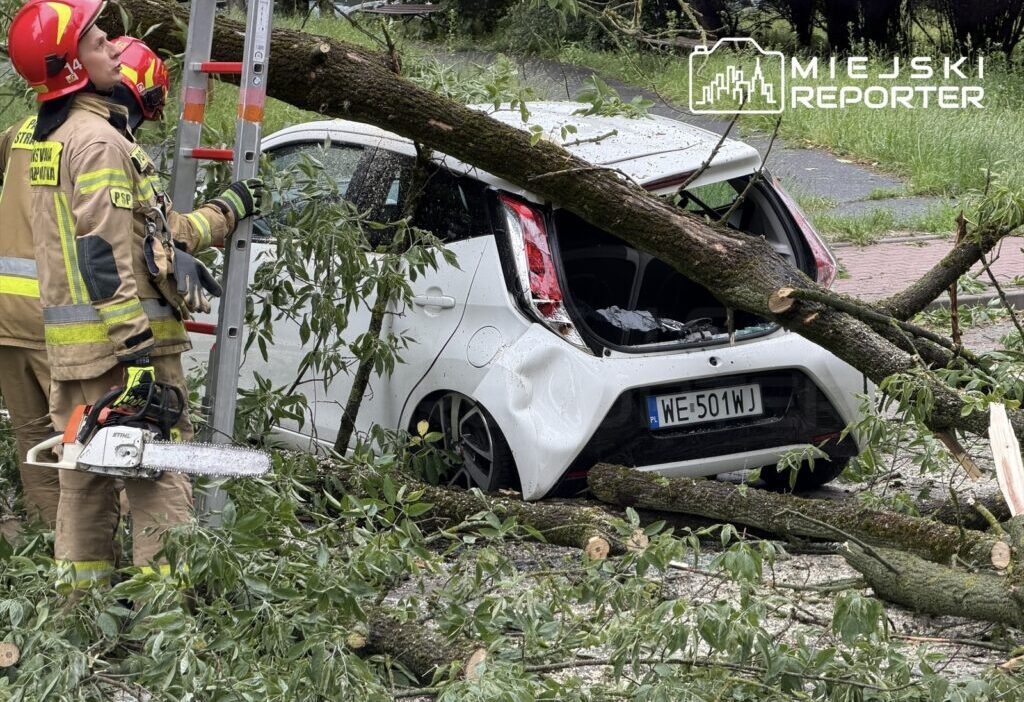 Varsova da siddetli yagis 27 ayri noktada agac devrilmesi yasandi 76174