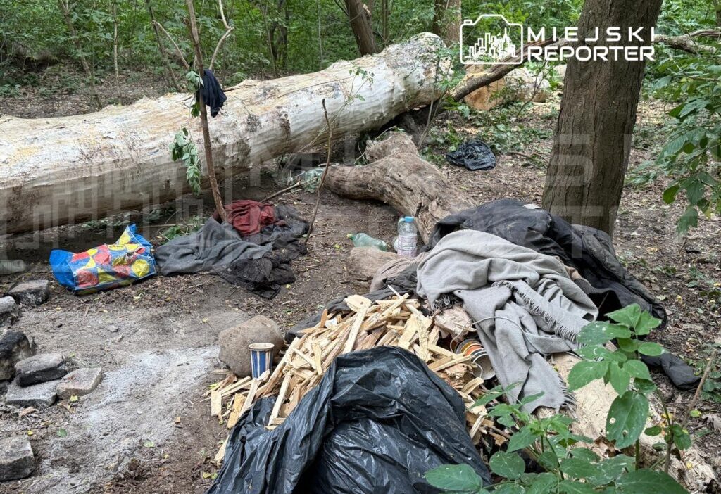 Varşova’da trajik kaza: devrilen ağaç bir kişinin ölümüne neden oldu 1 Varsova da trajik kaza devrilen agac bir kisinin olumune neden oldu 75702