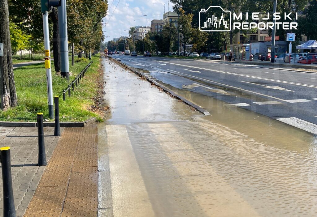 Varşova’da waszyngtona caddesi’nin daraltılması planına protesto hazırlığı 1 Varsova da waszyngtona caddesi nin daraltilmasi planina protesto hazirligi 77618
